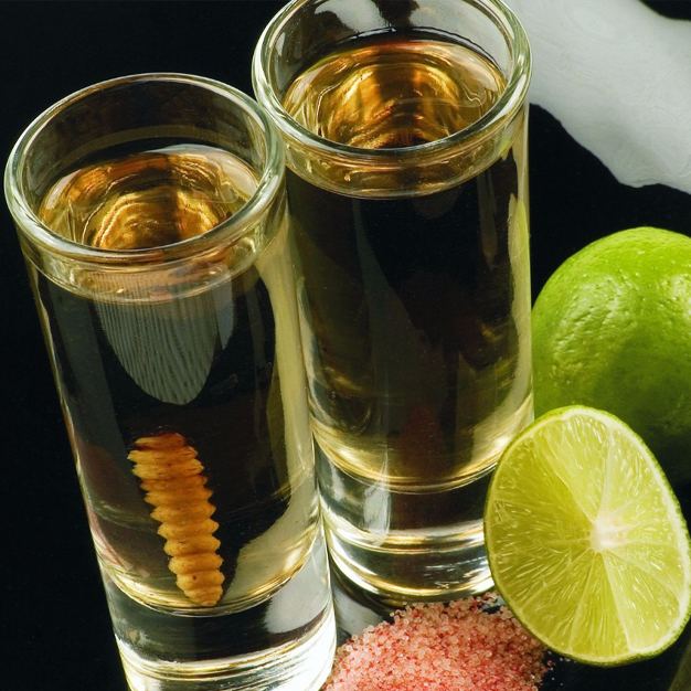 Mezcal artesanal de Oaxaca