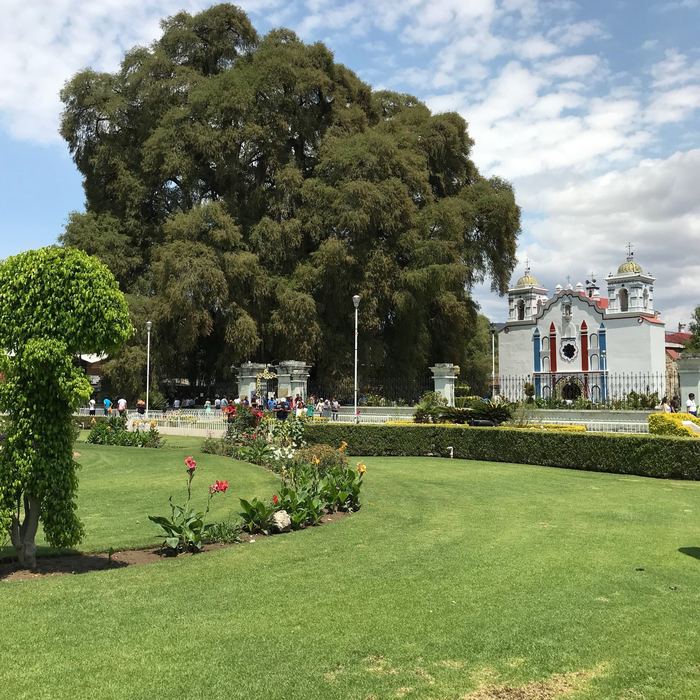 Vista panorámica de Oaxaca